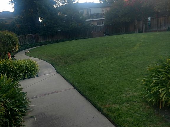 3rd image of 1139 Bird Ave