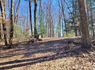 947 W Locust St, White Cloud, MI 49349