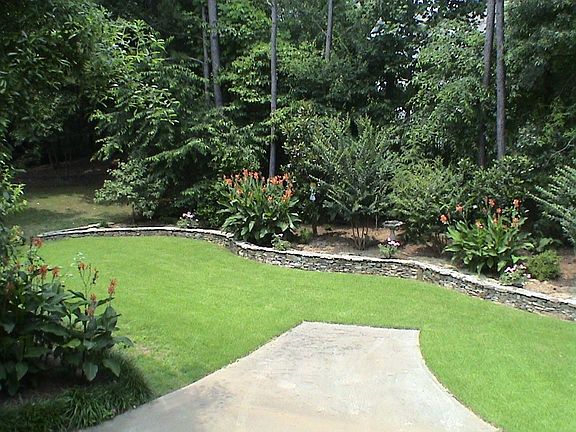 Back yard