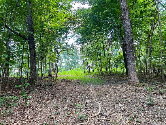 5th image of 7659 Burks Rd