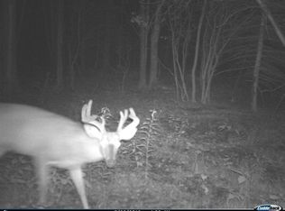 993 Meadville Rd, Titusville, PA 16354