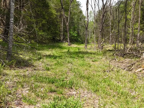 0 Holly Rd, Murphy, NC 28906