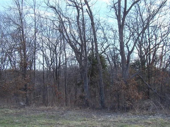 Kite Rd, Odessa, MO 64076