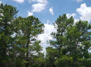 721 Lincoln Rd NE, Lake Placid, FL 33852