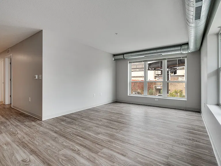 Large Natural Light Windows