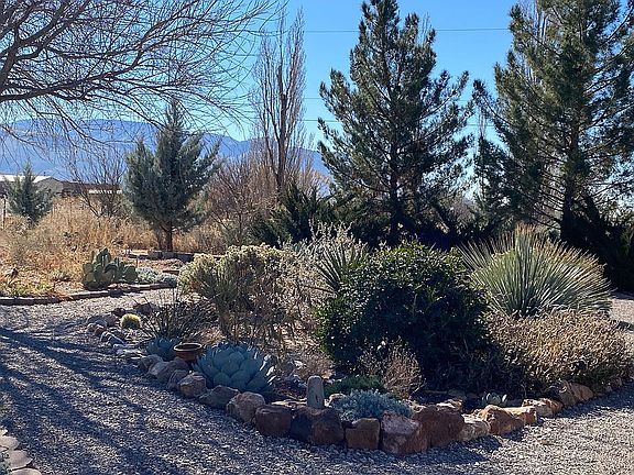 Desert garden in winter