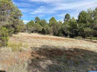 91 N Fork Walnut Creek Rd, Silver City, NM 88061