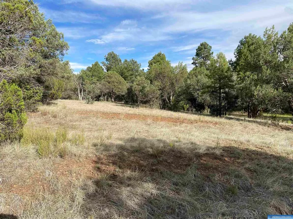 91 N Fork Walnut Creek Rd, Silver City, NM 88061