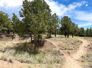 TRACT Six Philleo Anx, Crestone, CO 81131