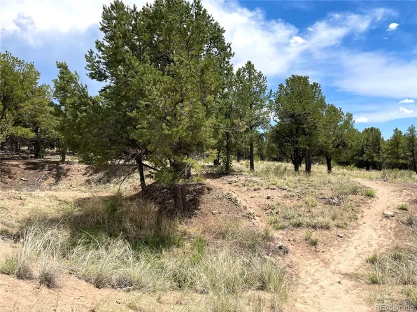 Tract 6 PHILLEO ANNEX Hemlock Street, Crestone, CO 81131