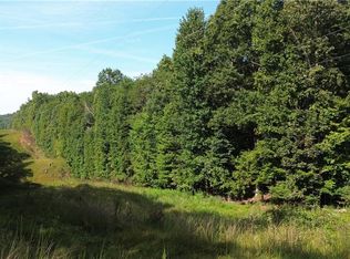 0 Calhoun Rd, Dahlonega, GA 30533