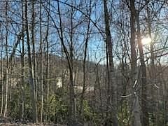 4th image of 0 Deep Valley Ln