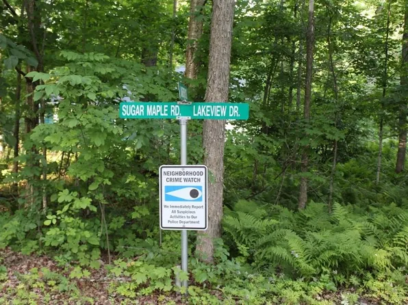 Lakeview Dr Lot 18, Pickerel, WI 54465