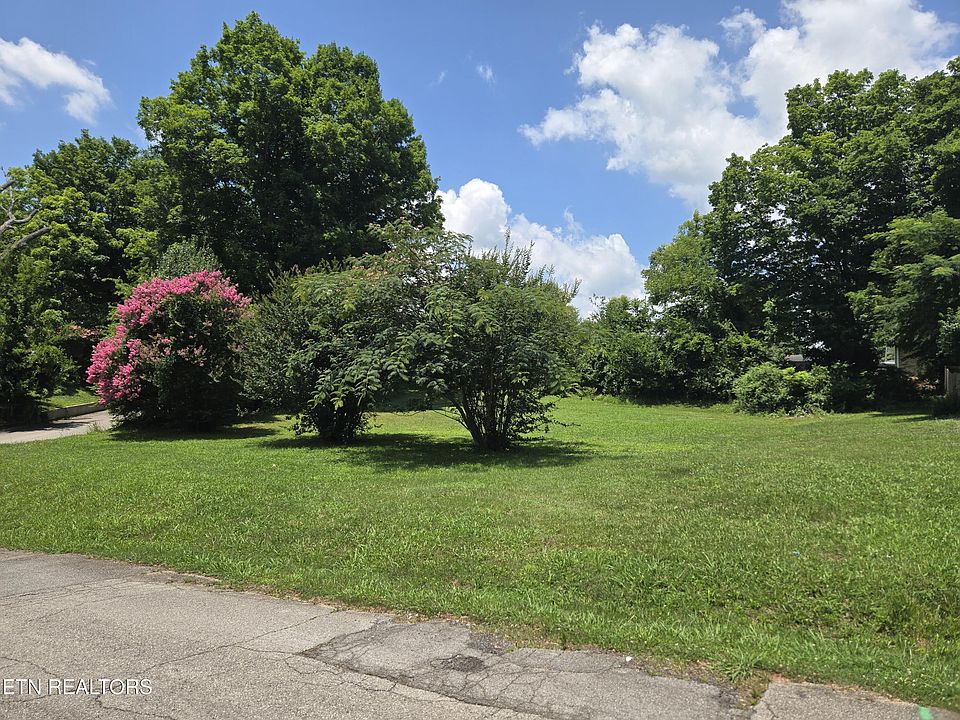 2nd image of Rayder Ave