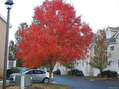 15 Freedom Way UNIT 23, Niantic, CT, 06357
