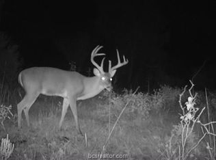 8290 Fm 39 Rd S, North Zulch, TX 77872