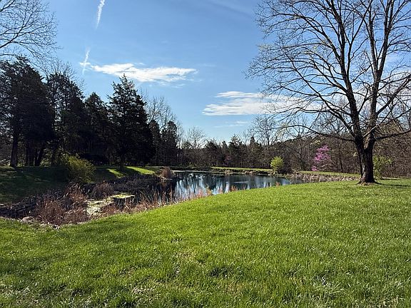 3rd image of 15536 Lewis Rd