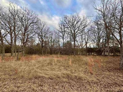 1085 Vz County Road 4807, Ben Wheeler, TX, 75754