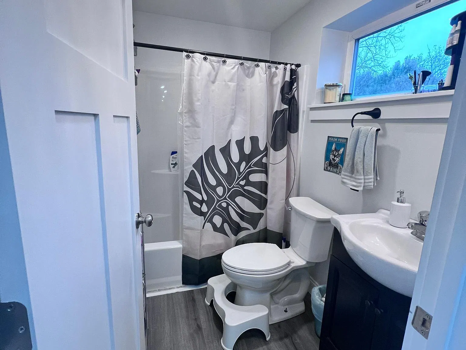 2 bed, 800 sqft, $1,850 — Photo 4