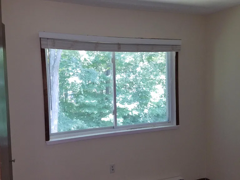 Rear Bedroom - overlooking the nature-filled backyard