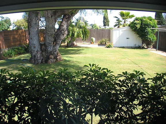 view from office/den