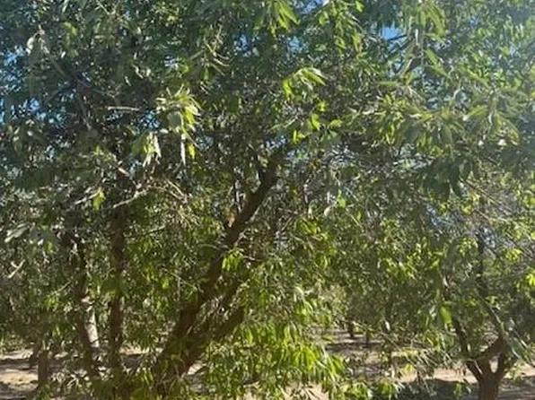 5225 Langworth Rd, Oakdale, CA 95361