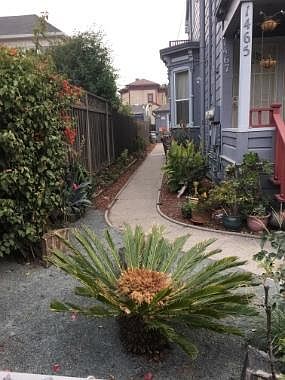 Front path to the Cottage