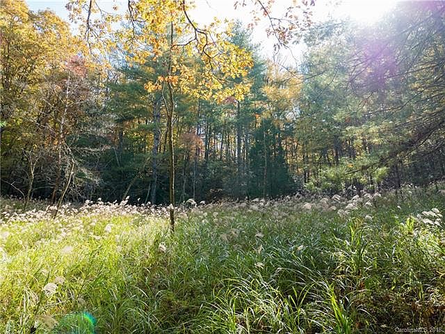 1st image of 331 Mills River Way