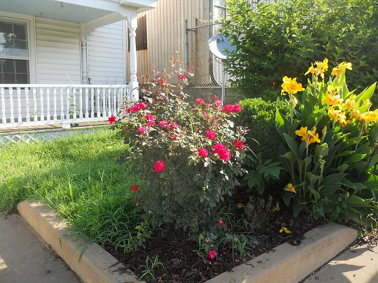 903 Grove St — Photo 2