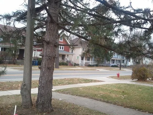 View from porch north