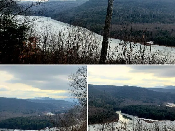 LOT 21 Intake Rd Lot 21, Roxbury, NY 12474