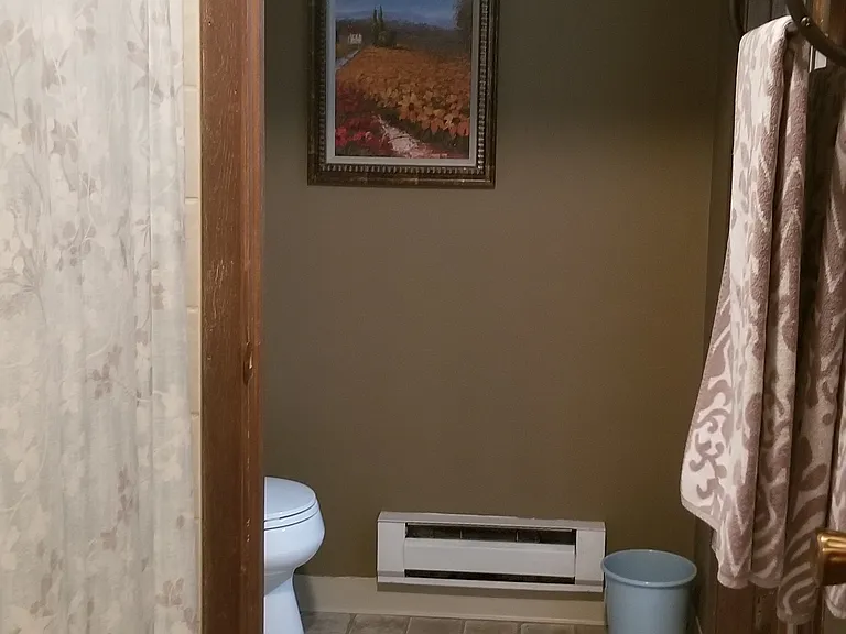 This is the pass-through section of the bathroom, where the shower is (left side of image). There are towel racks in this section (right side of image). The third section of the bathroom can be seen at the end (it has a toilet and a sink).