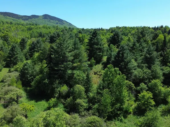 Lot 0 Darling Road, Morristown, VT 05661