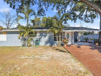 113 W North St, Tampa, FL, 33604