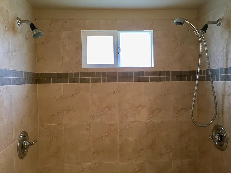 Bathroom doubleheader shower