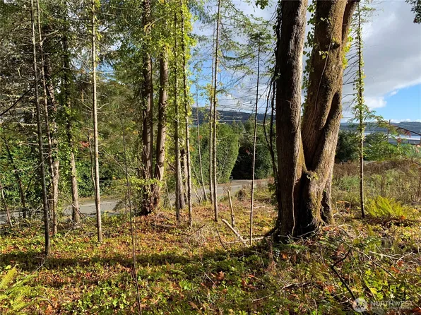 5 E State Route 106, Union, WA 98592
