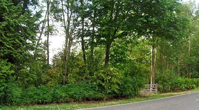 2nd image of Curtis Rd