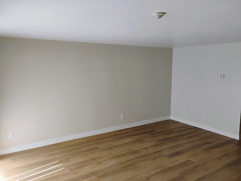 Pine Wild Apartments — Photo 8