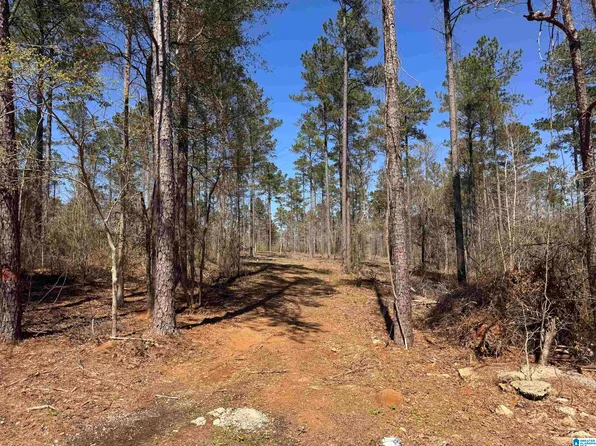 0 Finnell Rd #0, Northport, AL 35475