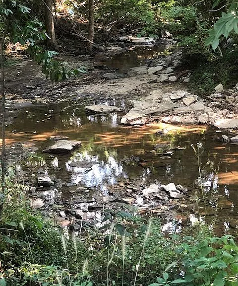 2140 Old Hickory Blvd #DOWN STAIRS FLAT — Photo 2