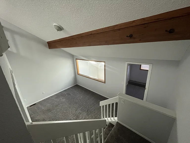 2823 Springdale Ln — Photo 11