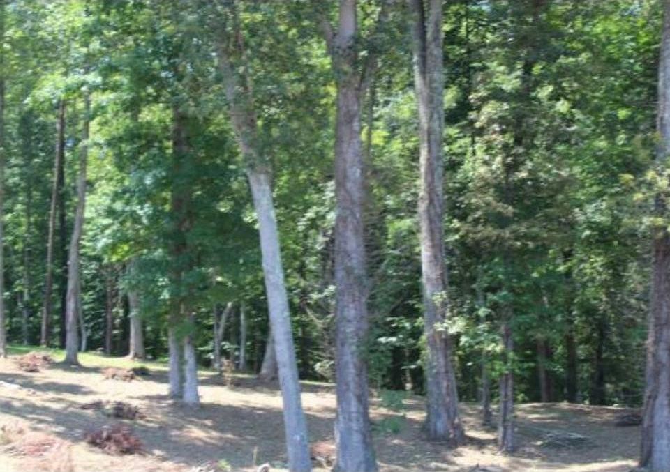 2nd image of 354 Old Stage Rd