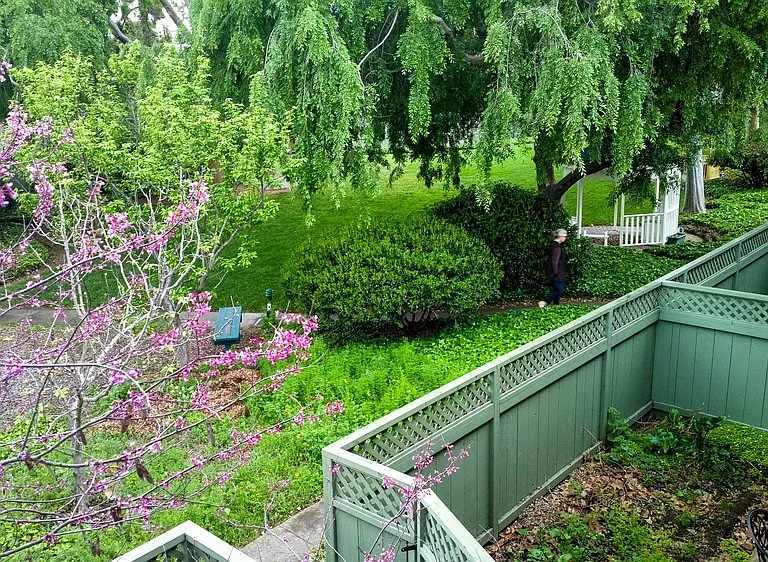 Views from the upstairs apartments (this is a 2-story garden apartment complex)