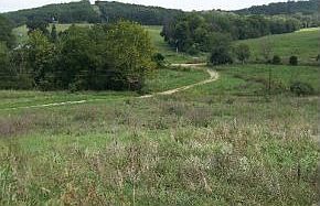 1st image of 378 County Road 506