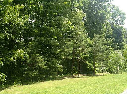 1st image of 8 Brendonwood Acres