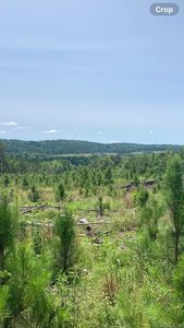 1405 Beaudry Cir, Jessieville, AR, 71949