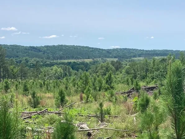 1405 Beaudry Cir, Jessieville, AR 71949