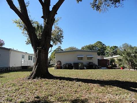 HUGE BACKYARD