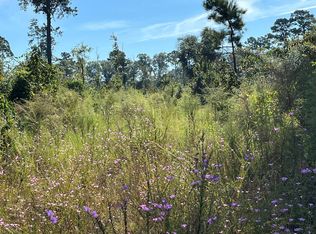 Tbd Fm 1745, Colmesneil, TX 75938