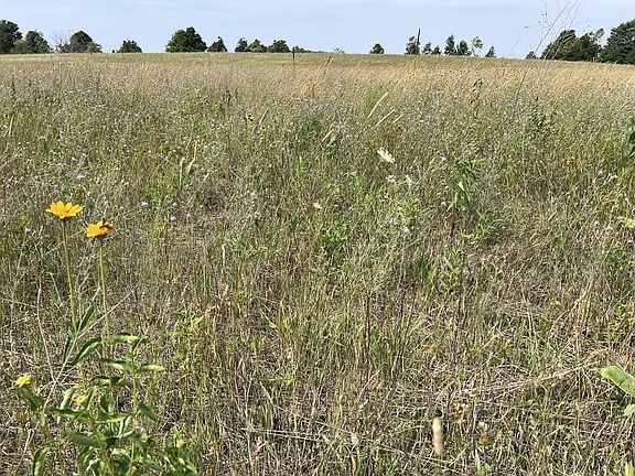 3rd image of County Road F